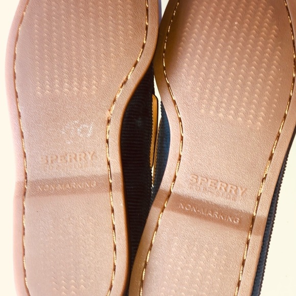 Sperry navy blue classic top sider shoes main image 5